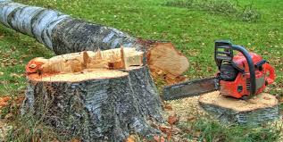 Best Utility Line Clearance  in Long Valley, NJ