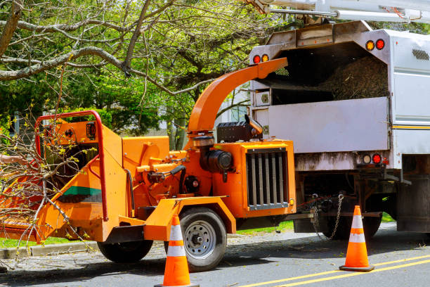Best Utility Line Clearance  in Long Valley, NJ